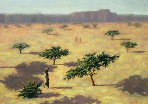 Sahelian Landscape, Mali, 1991